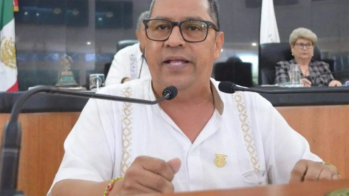 Diputado Luis Armando Diaz